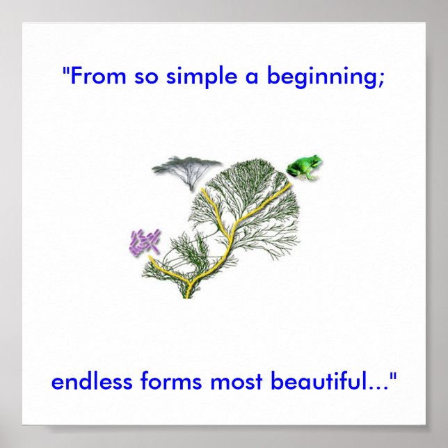 Poster Tree of Life (Devant)