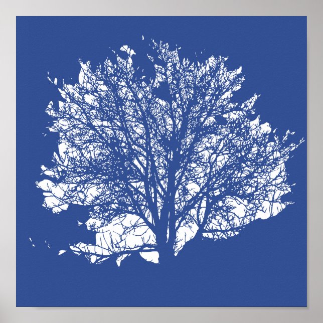 Poster Tree of Life (Devant)