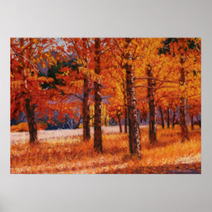 Poster Trembles du Colorado dans une superbe splendeur au