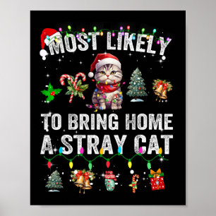 Poster Très Probable D'Apporter À La Maison Un Chat Étran
