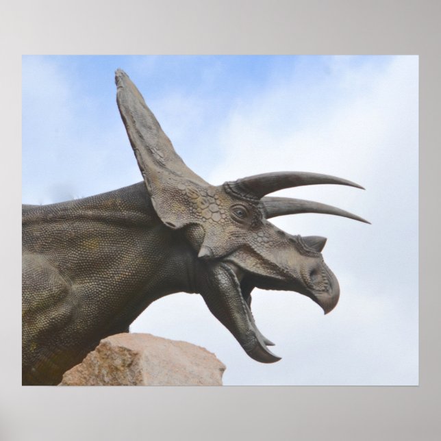 Poster Tricératops Dinosaur (Devant)