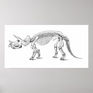 Poster Tricératops Skeleton