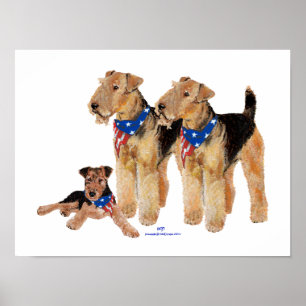 Poster Trio de drapeaux patriotiques
