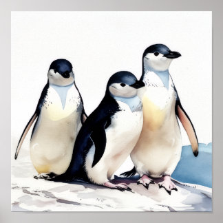 Poster Trio de pingouins