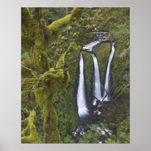 Poster Triple Falls, Gorge du Columbia