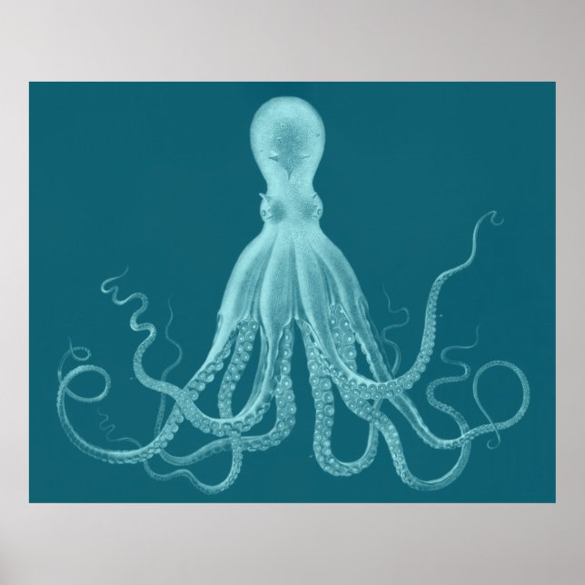 Poster Triptyque Octopus surdimensionné imprimé en turquo (Devant)