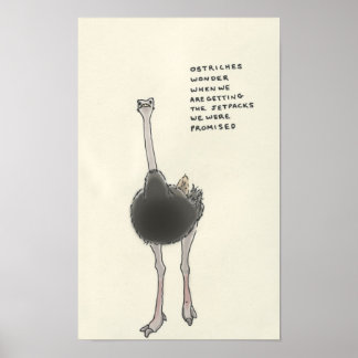 Poster trivia ostrich
