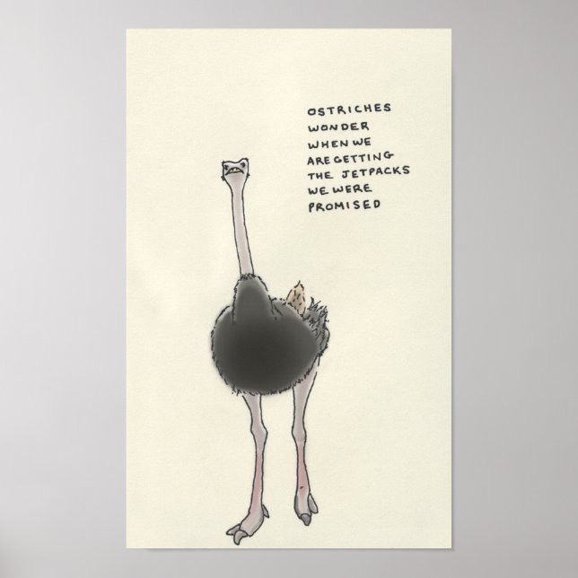 Poster trivia ostrich (Devant)