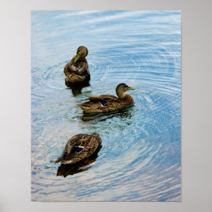 Poster Trois