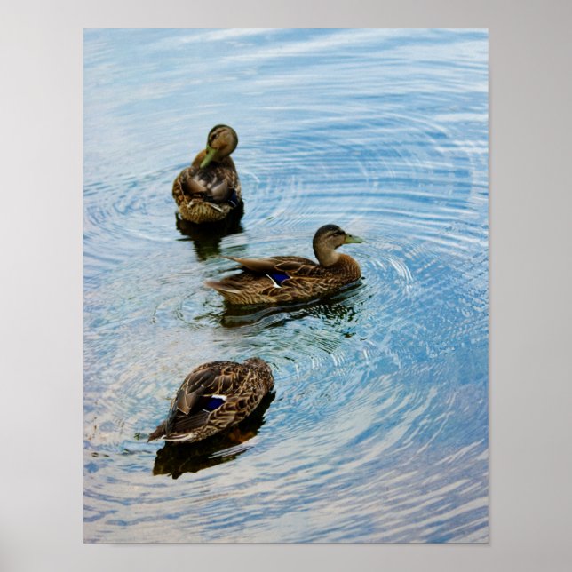 Poster Trois (Devant)