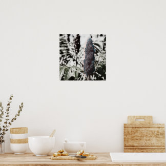 Poster Trois 16"