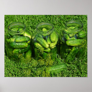 Poster Trois bocaux remplis de concombres entiers