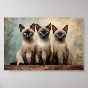 Poster Trois chats siamois