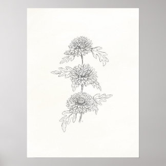 Poster Trois chrysanthèmes Imprimer