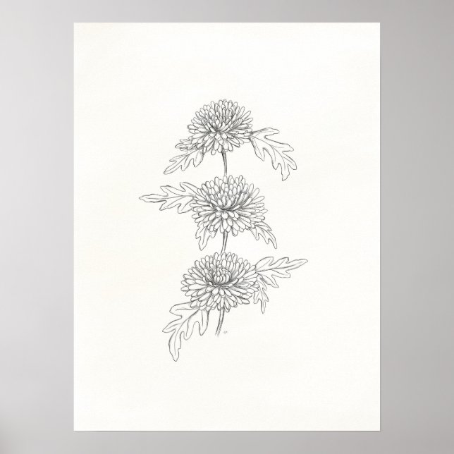 Poster Trois chrysanthèmes Imprimer (Devant)