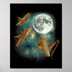Poster Trois Criquets Lune 3 Insecte Hurlement Meme Magie