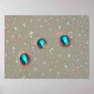 Poster Trois Doigts Dans La Mousse