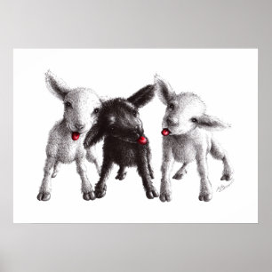 Poster Trois Drôle Cheeky Sheep