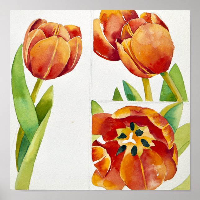 Poster Trois études sur les tulipes dans un certain 2013 (Devant)