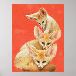 Poster Trois Kits Fennec Fox