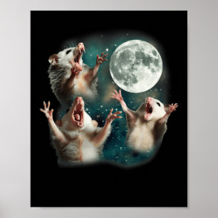 Poster Trois Lune Possum _ 3 Opossum Funny Bizarre Maudit