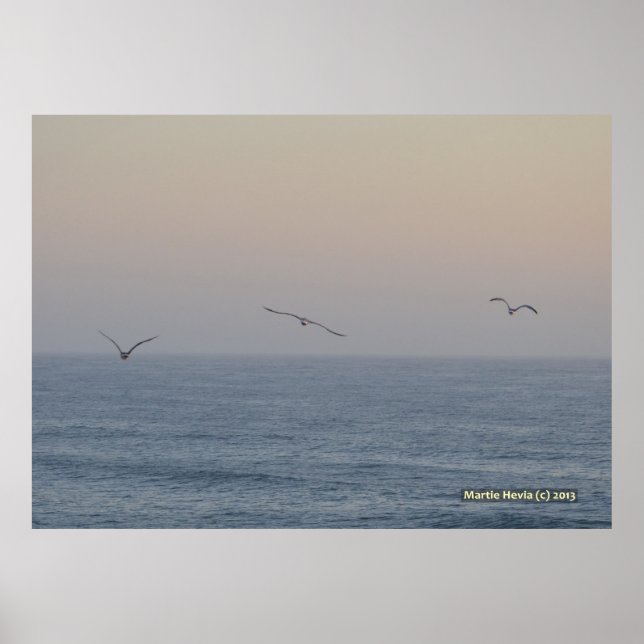 Poster Trois mouettes (Devant)