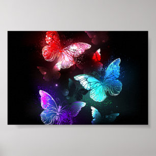 Poster Trois papillons brillants sur l'arrière - plan de 