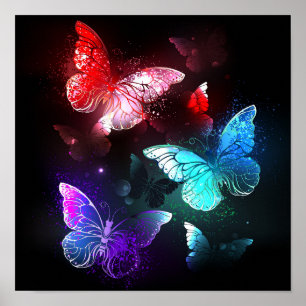Poster Trois papillons lumineux sur fond de nuit