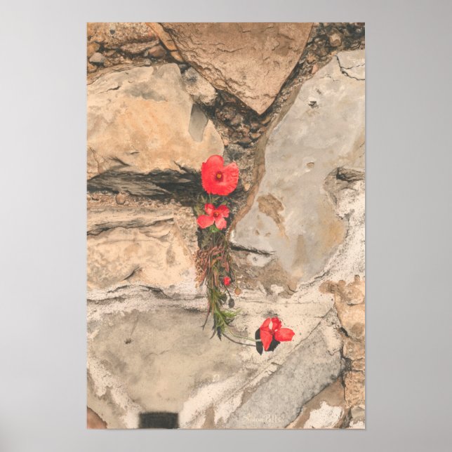 Poster Trois pavois (Devant)