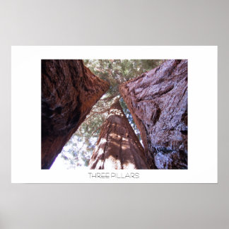 Poster Trois piliers