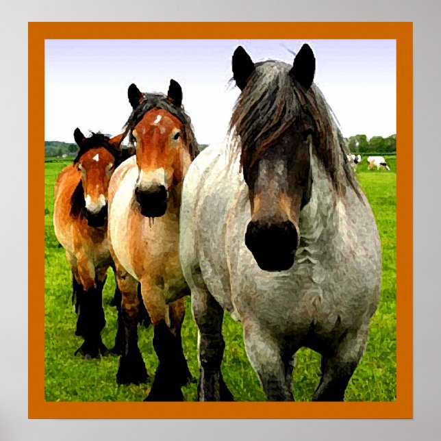 Poster Trois Ponts (Devant)