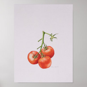 Poster Trois tomates sur la vigne 1997