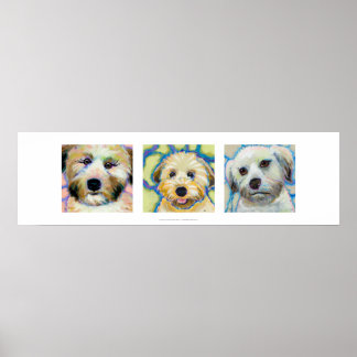 Poster Trois Wheaten Terrier peintures amusant chien art