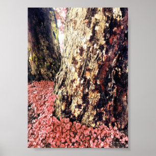 Poster troncs d'arbre