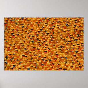 Poster Trop de canards