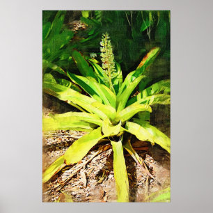 Poster Tropical Bromeliad - walk in the garden