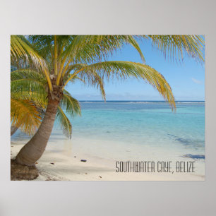 Poster Tropical Caribbean Island Belize Beach and Palms