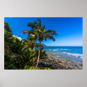 Poster Tropical coastline
