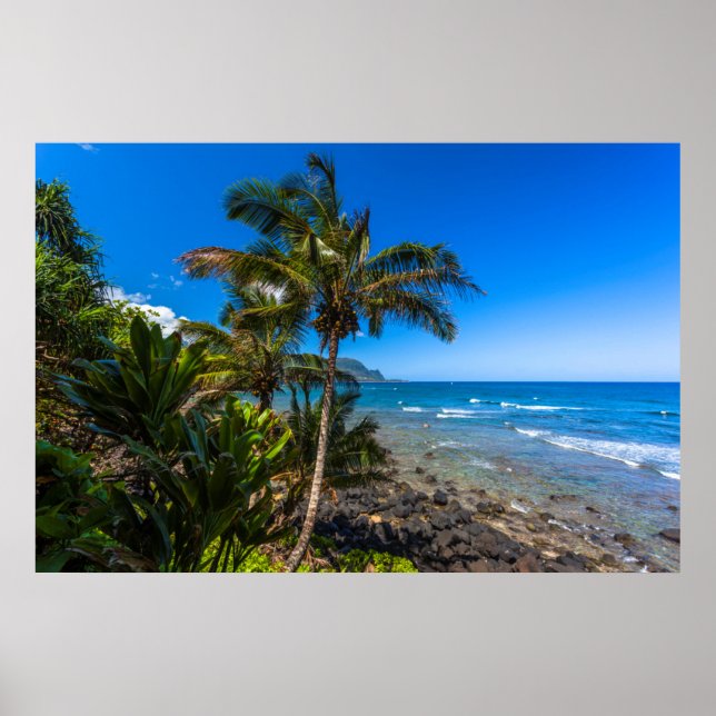 Poster Tropical coastline (Devant)
