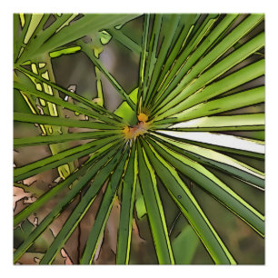 Poster Tropical Palm Black Outline Art
