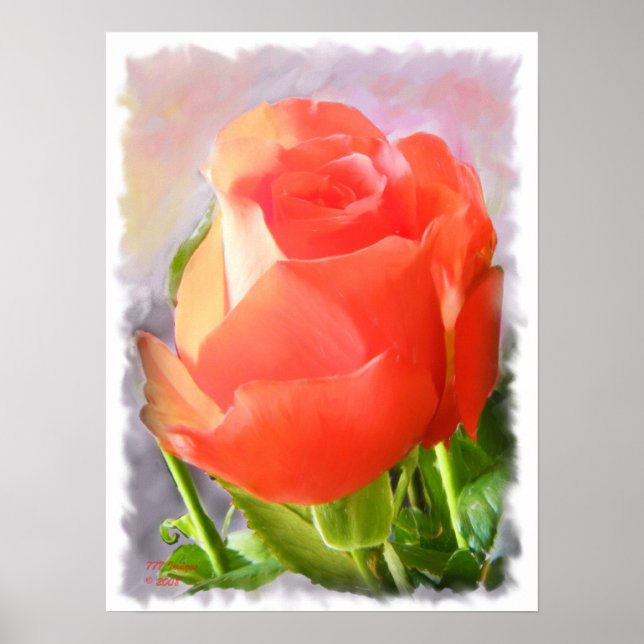 Poster Tropicana Rose - Peinture (Devant)