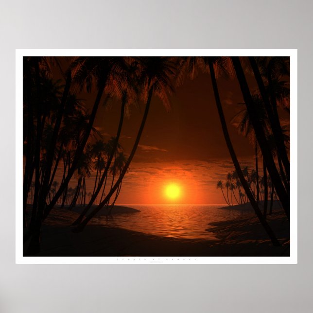 Poster Tropique du cancer (Devant)