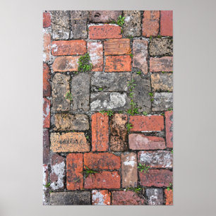 Poster Trottoir en briques, Apalachicola, Floride