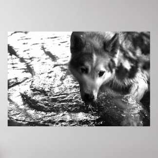 Poster Trou d'eau