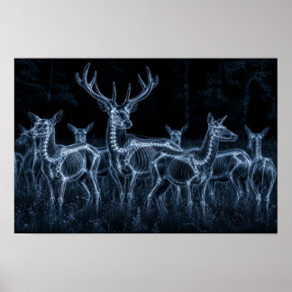 Poster Troupeau de cerfs Nuit X-Ray