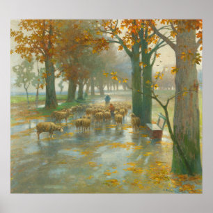 Poster Troupeau de moutons avec bergère lors d'une journé