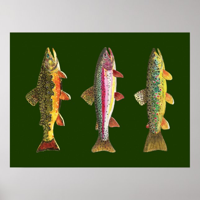 Poster Trout fishing (Devant)