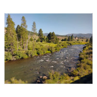 Truckee