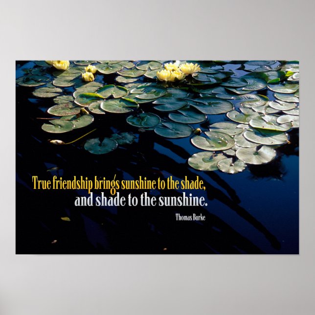 Poster True Friendship (Devant)