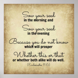 Poster Truie de vers de bible d'Ecclesiastes votre graine